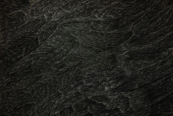 Peinture aborigène de Lilly Kelly NAPANGARDI
