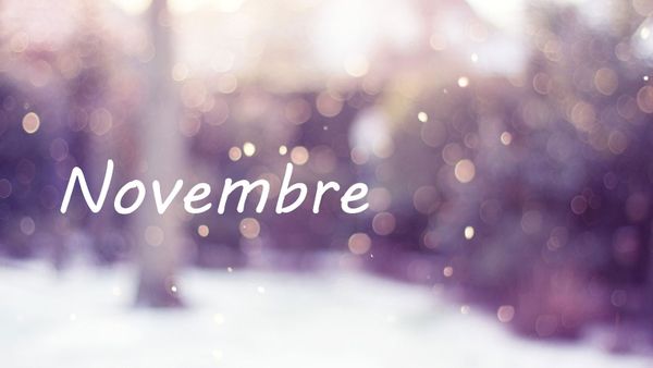 Blues du mois de novembre : où faire le plein de lumière à Paris ?