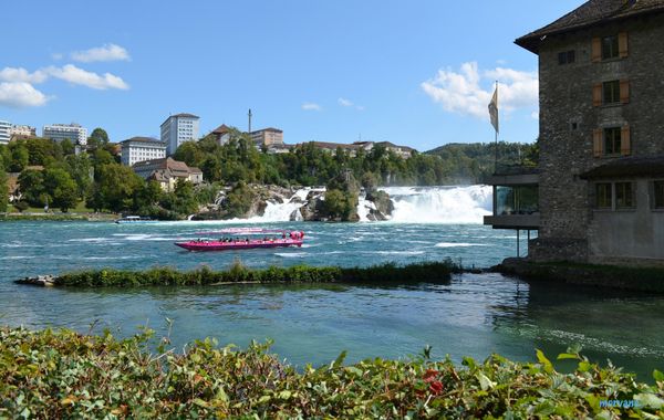 Les CHUTES du RHIN