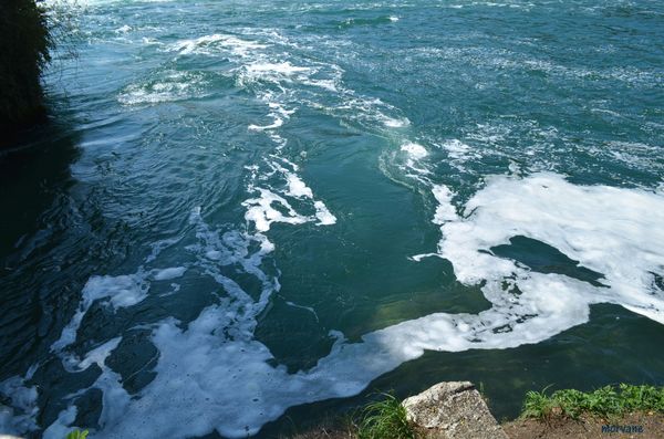 Les CHUTES du RHIN