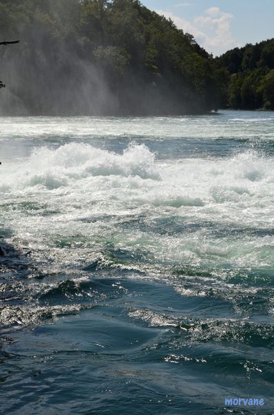 Les CHUTES du RHIN