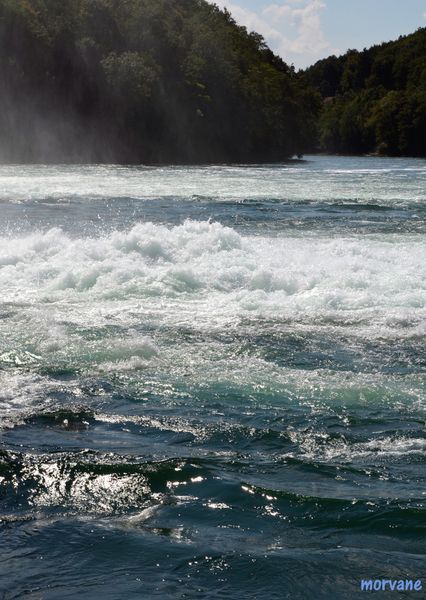Les CHUTES du RHIN