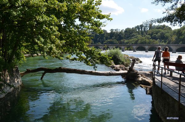 Les CHUTES du RHIN