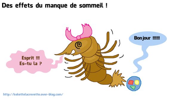 Sbouing ou la crevette sauteuse :)