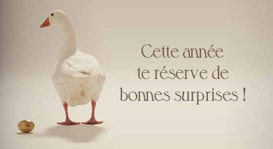 J'en serai le premier étonné mais Bonne année 2016 tout de même !