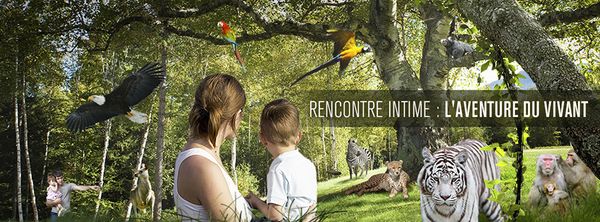 Commentaires et réponses à vos observations et recommandations N°2: