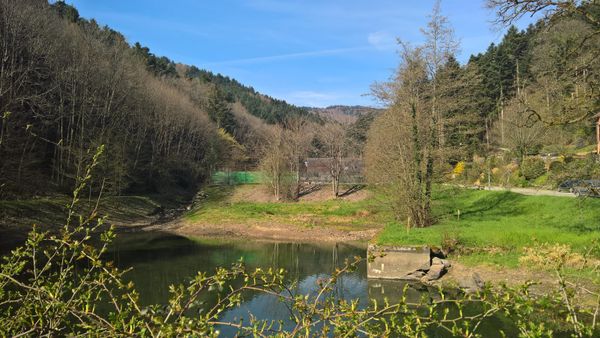 Dernière journée décisive au Floridor !
