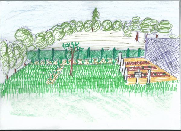 Idée Jardin : délimitation du potager