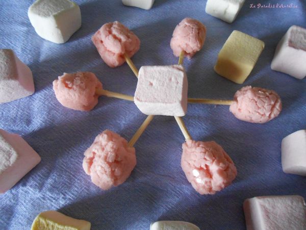Lollipop à la guimauve et au pamplemousse