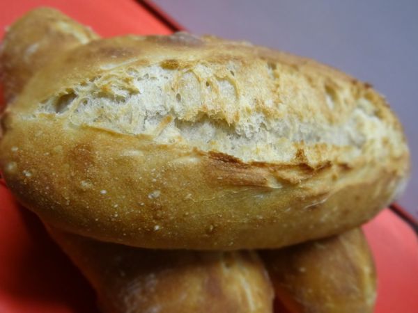 LE BÂTARD