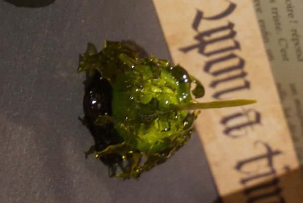 ONCE UPON A TIME SHREK ! : DÉFI N°4 SUGAR PARIS #3#