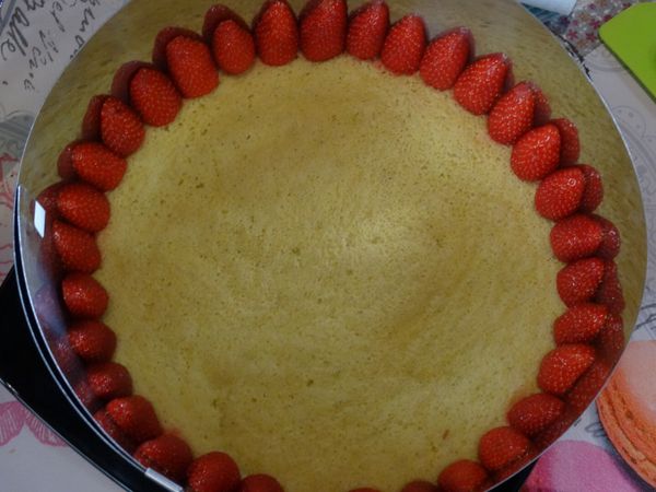 FRAISIER by C.FELDER