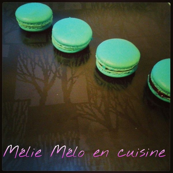 macaron chocolat passion