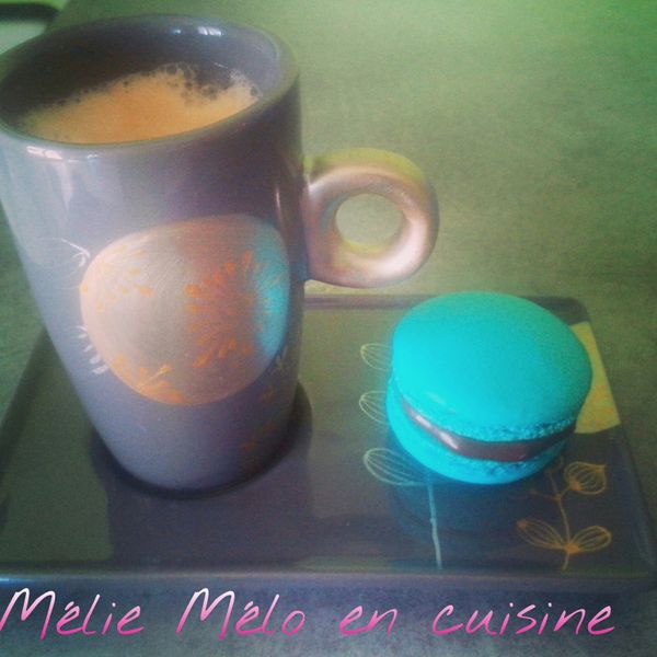 Macaron chocolat menthe