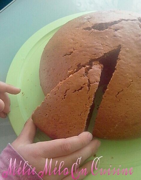 Le gâteau Danette