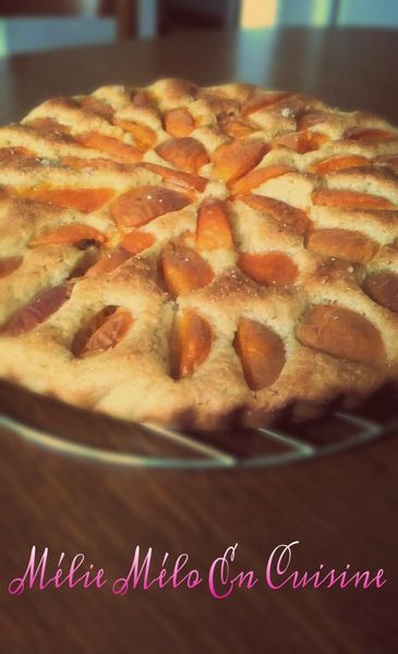 tarte briochée à l'abricot