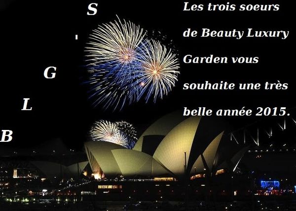 BONNE ANNÉE