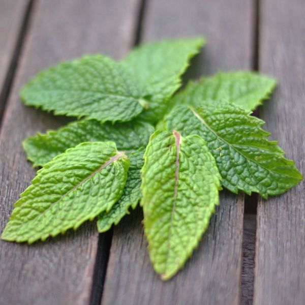 Faits divers : ils confondent de la menthe avec du cannabis et fument leurs nems