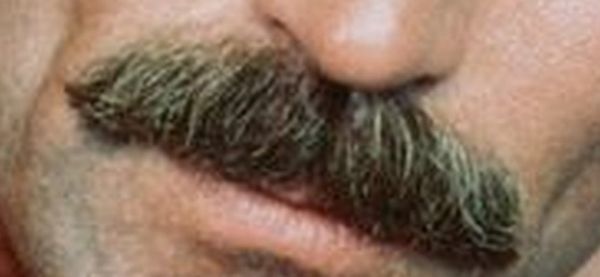 Les moustaches de Serge Lepeltier bientôt exposées au musée du Berry