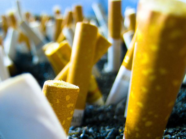 Un étudiant de la fac de sciences de Bourges a inventé la cigarette sans fumée