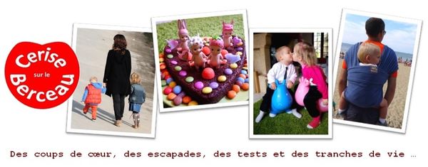 Cerise sur le berceau - Un blog à visiter !