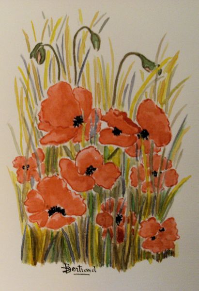Aquarelle