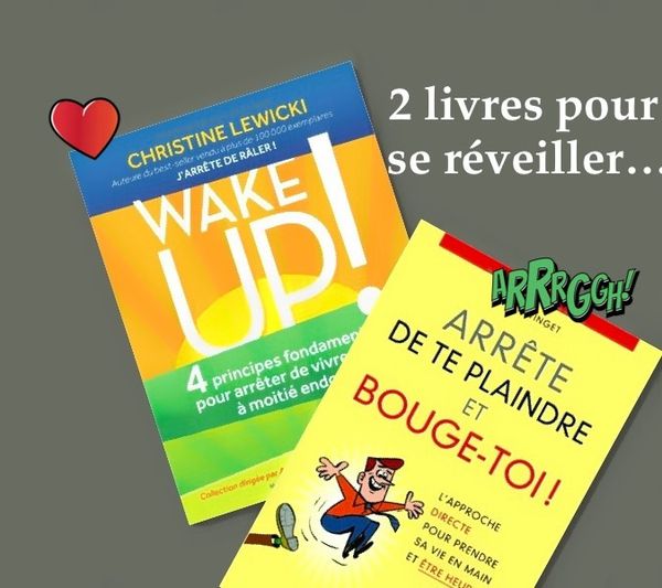 2 livres pour vous réveiller et vivre enfin vraiment votre vie (méthode soft et hard)