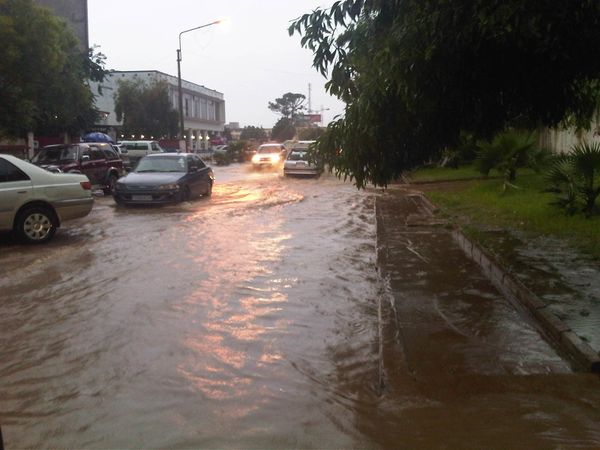 On l' a bafouée, la dame centenaire