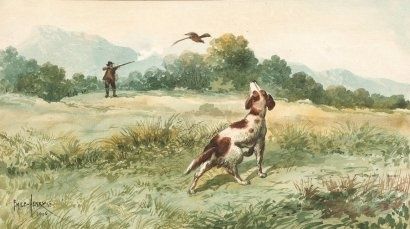 Il était une fois « Une femme » ( 19 )