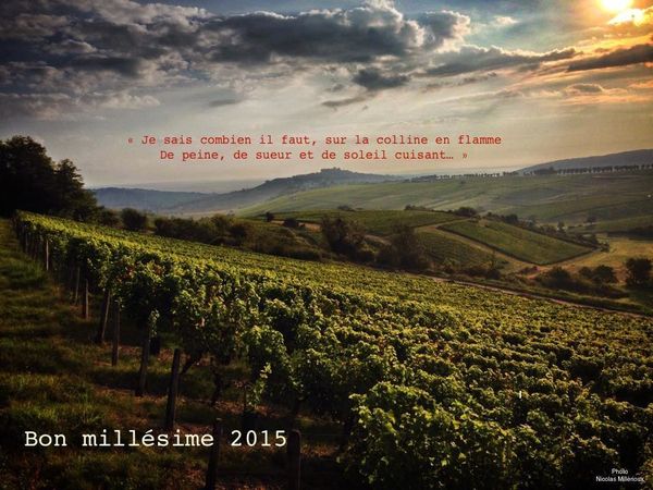 Que l'âme du vin vous accompagne en 2015 ...