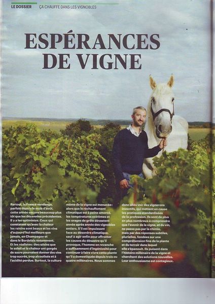 Pour le dernier Télérama, les espérances de vigne passent par des vignerons comme Alexandre Bain ...