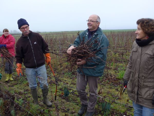 Première matinée de taille dans les vieilles vignes de Villalin.