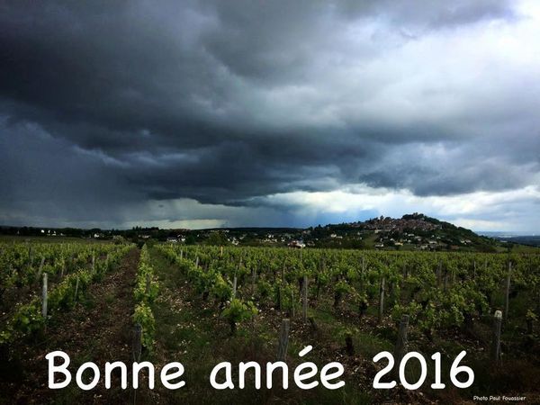 Ne pas remettre à l'année prochaine ce qui peut-être bu cette année ...