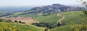 Pour bloquer les plantations, les vignerons du Centre-Loire demandent mille hectares d'IGP !