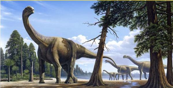 Découverte en Patagonie (Argentine) des fossiles du plus grand dinosaure : le titanosaurus