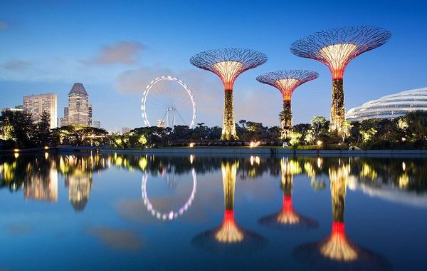 Les Immeubles les plus futuristes dans le Monde Gardens by The Bay, Supertrees, Cloud Forest, Singapour