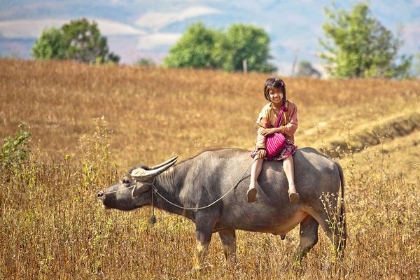 Les chemins les plus périlleux que les enfants du monde empruntent pour se rendre à l'école