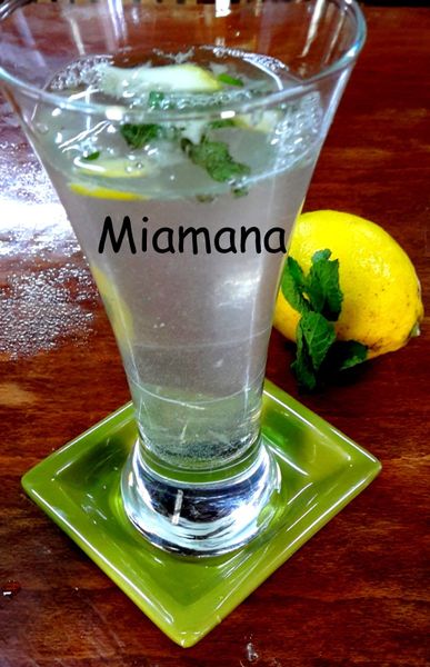 Virgin Mojito