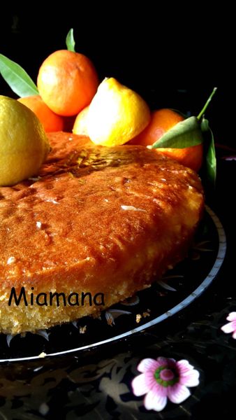 Gateau moelleux imbibé aux agrumes
