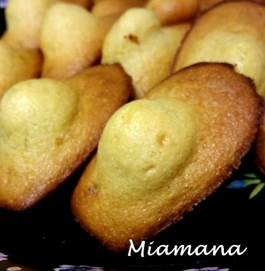 Madeleines dodues