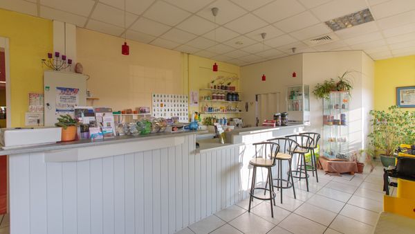 Jolifit Haguenau est sur Google Maps Business View