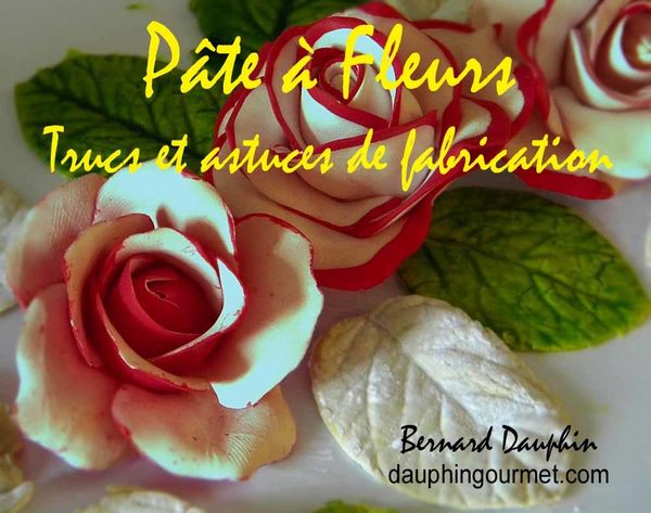 PATE A FLEURS : TRUCS ET ASTUCES DE FABRICATION DES FLEURS