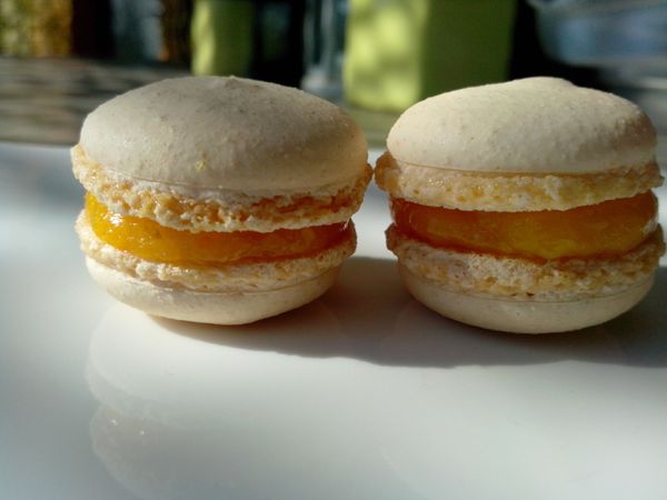 MACARONS PAMPLEMOUSSE
