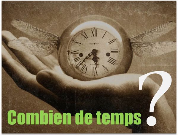 Combien de diapositives doit-on utiliser dans une présentation de 20 minutes ?