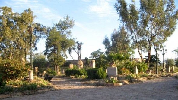 Guelma : le jardin archéologique de Calama rouvert au public