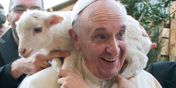 Un an de pontificat du pape François, « le bon pasteur » !