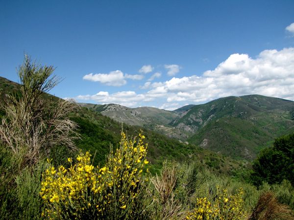 Cet été, venez découvrir la montagne d’Ardèche : c’est superbe !