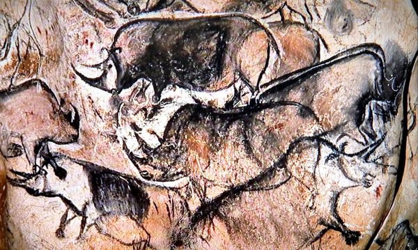Descente dans la grotte Chauvet, en Ardèche, nouveau joyau de l'Unesco