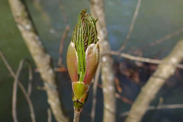 Vendredi 20 mars : Vive le Printemps !