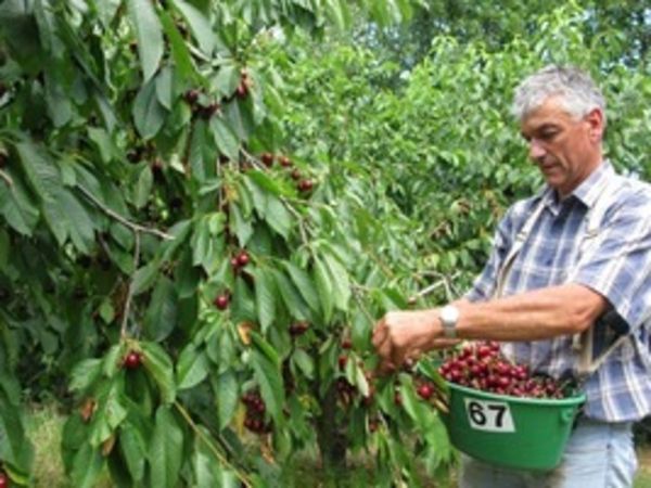 En Ardèche, les agriculteurs luttent contre la sécheresse